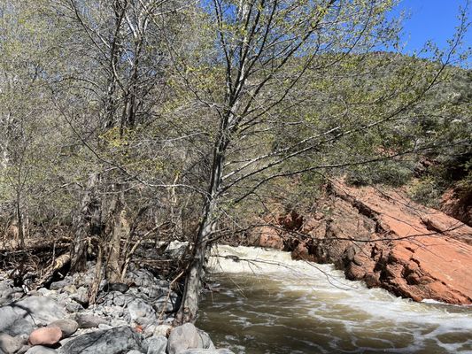 Briar Patch Inn by null