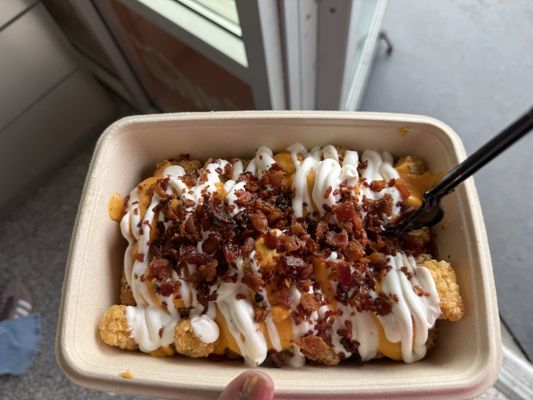 Six Flags Magic Mountain by null