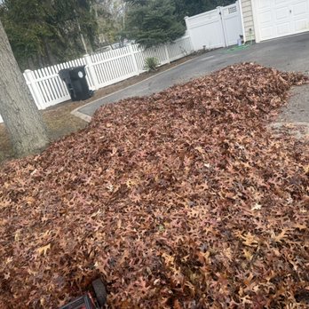 Pineda Landscaping - Full cleanup - Landscaping Near Me Pineda Landscaping - Full cleanup - Landscaping Near Me