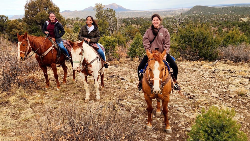Cedar Crest Country Cottage and Stables - equestrian in Cedar Crest, NM