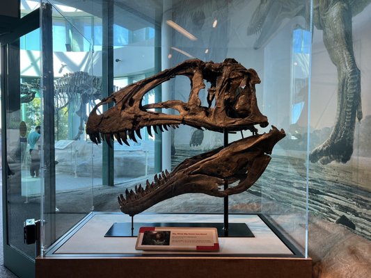 North Carolina Museum of Natural Sciences by null