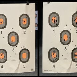 They have sheets of 5 bullseye grids so you and your friends - or a class - can share one sheet without having to change out sheets