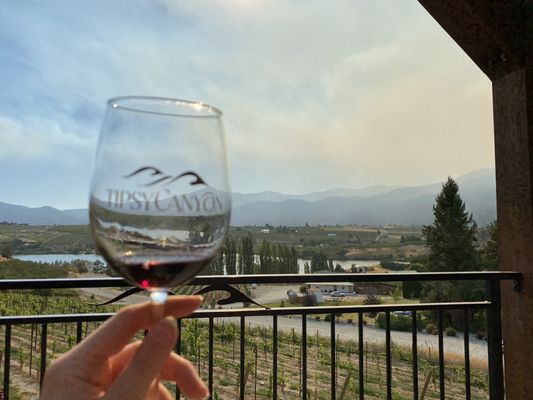 Tipsy Canyon Winery by null