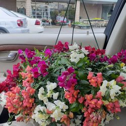 Hepler's Hardware - Something to brighten the day.
