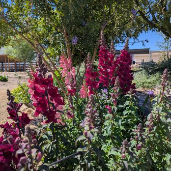 Rose Creek Farm - Farmers Market Near Me - Las Vegas, Nevada Rose Creek Farm - Farmers Market Near Me - Las Vegas, Nevada