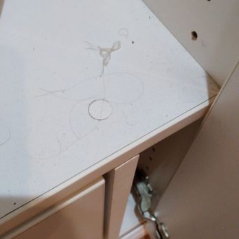 Maid In New Jersey - Hairs and dust - Office Cleaning Near Me