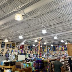 Eagles Beachwear - Store