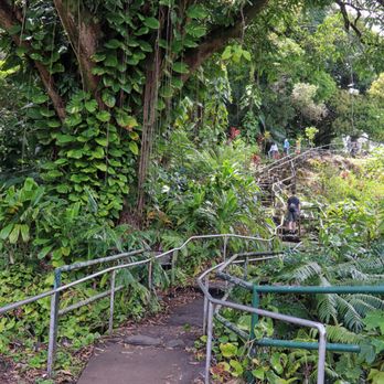 Rainbow Falls - Stairs to top of falls - Parks Near Me - Hilo, Hawaii