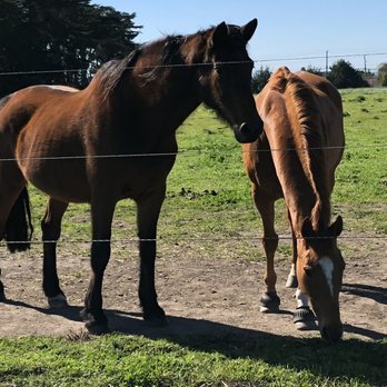 Branscomb Farm - Farms Near Me - Half Moon Bay, California
