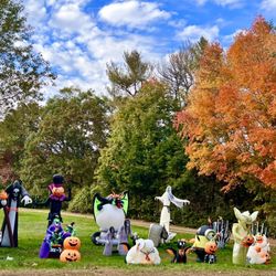 Wicked Pumpkin Orchards - Halloween decorations