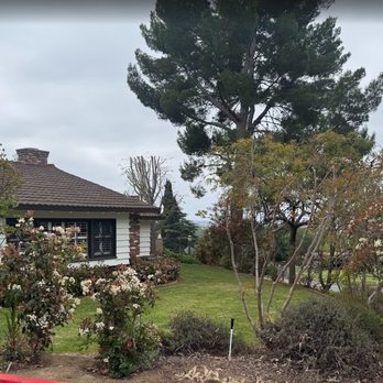 Juan Tree Service - After 2 - Tree Services Near Me - Buena Park, California Juan Tree Service - After 2 - Tree Services Near Me - Buena Park, California