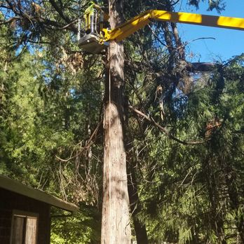 Tree Safe - Tree Services Near Me - Colfax, California
