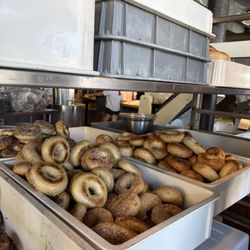 Forage Market - Bagels