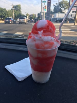 Morrone's Water Ice by null