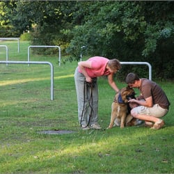 hundeschule.com Christina Opitz