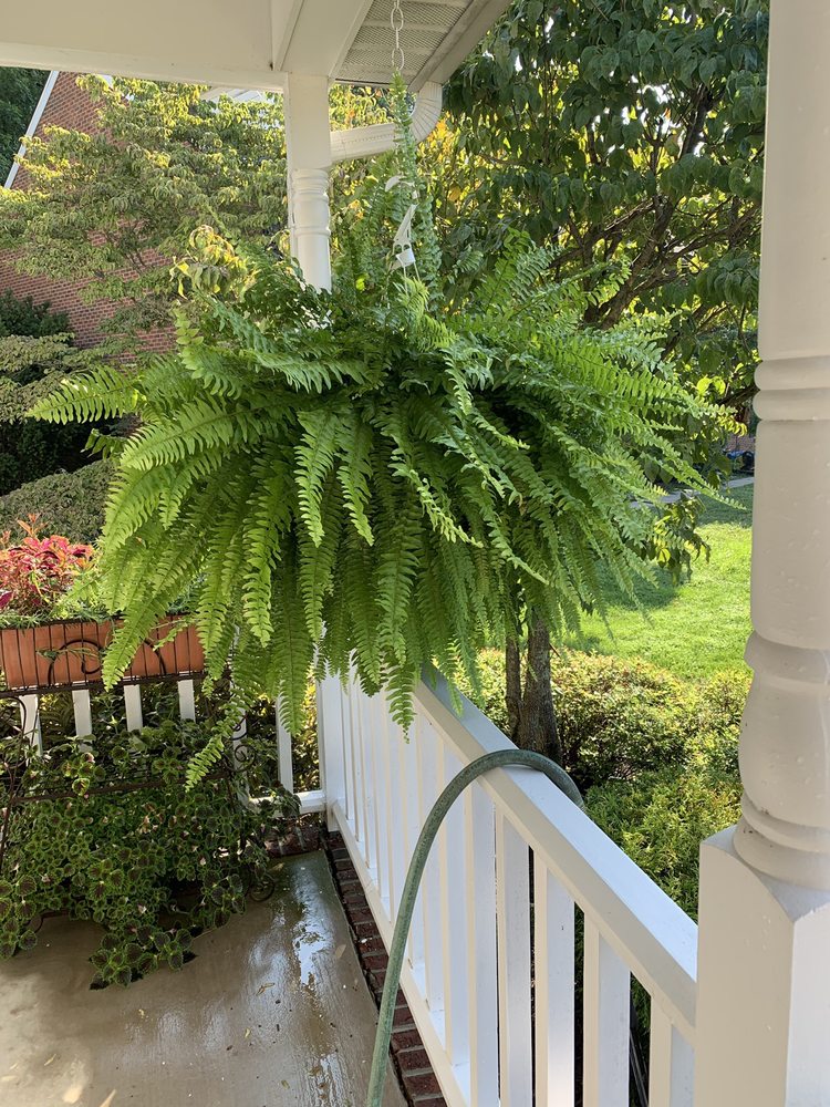 GRIER NURSERY FARM 【3246 Grier Nursery Rd, Forest Hill, Maryland