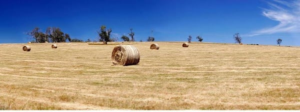 Terindah Estate by null