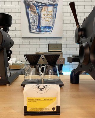 drip coffee makers by null