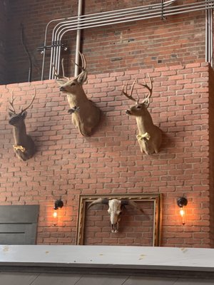 Thyme Kitchen and Craft Beer by null