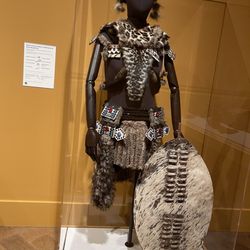 San Diego Museum Of Art - Warrior Dance Custom..