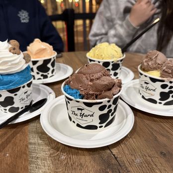 The Yard Milkshake Bar - Ice Cream & Frozen Yogurt Near Me - Phoenix, Arizona