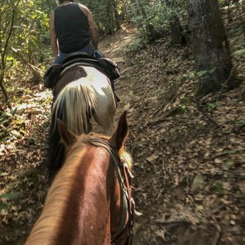 End of the Trail - Horseback Riding Near Me - Cherokee, North Carolina
