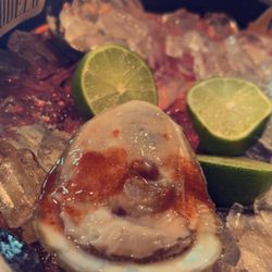 Real Jalisco - Oysters