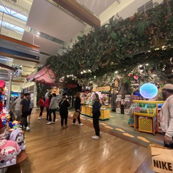 Rainforest Cafe - Mall entrance to shop - American Near Me - Grapevine, Texas