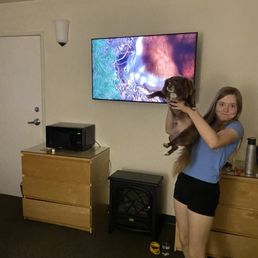 Cujo on TV Cujo on TV