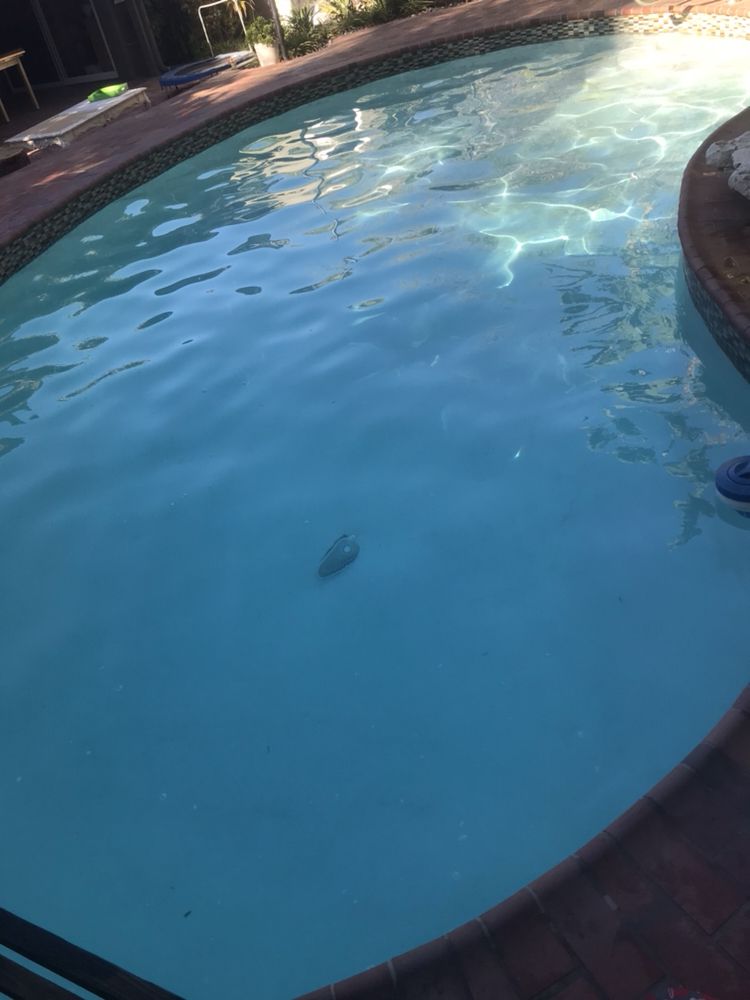 PCH POOL AND SPA Updated September 2024 Marina del Rey, California