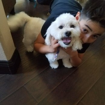 Royal Pets - Pet Groomers Near Me Royal Pets - Pet Groomers Near Me