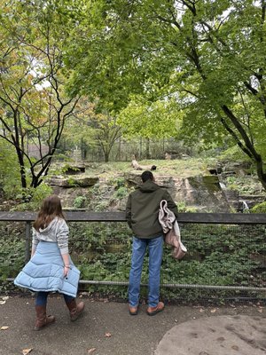 Pittsburgh Zoo & Aquarium by null