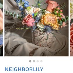 Neighborlily - What I ordered
