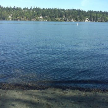 Seward Park Audubon Center - Small Beach view - Visitor Centers Near Me - Seattle, Washington Seward Park Audubon Center - Small Beach view - Visitor Centers Near Me - Seattle, Washington
