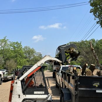 J Parga Tree Service - a tree being loaded onto a truck - Tree Services Near Me J Parga Tree Service - a tree being loaded onto a truck - Tree Services Near Me