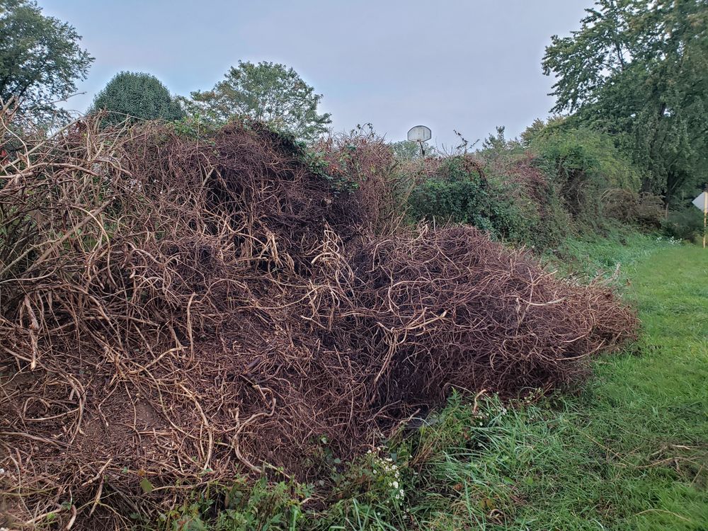 T&N LANDSCAPING 32 Photos Staunton, Virginia Lawn Services