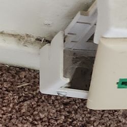 HomeRiver Group Sacramento Property Management - Landline outlet that is broken.