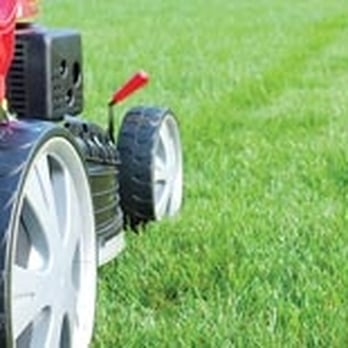 GLIG Groundworks - a lawn mower mowing - Pest Control Near Me - Boca Raton, Florida GLIG Groundworks - a lawn mower mowing - Pest Control Near Me - Boca Raton, Florida