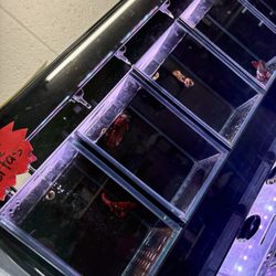 JJ Aquarium
