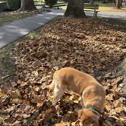 Lititz Springs Park