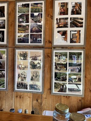 Full Moonshine by null