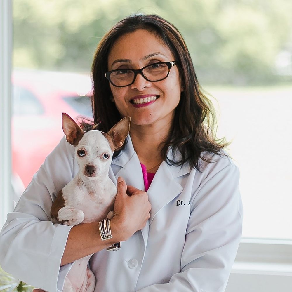 DANSVILLE ANIMAL HOSPITAL Updated October 2024 30 Photos & 12