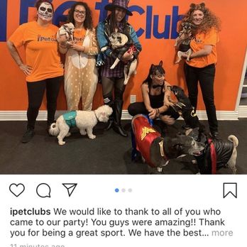 IPet Care & Holistic - iPet Club's annual Halloween Party! - Holistic Animal Care Near Me - Valley Village, California IPet Care & Holistic - iPet Club's annual Halloween Party! - Holistic Animal Care Near Me - Valley Village, California