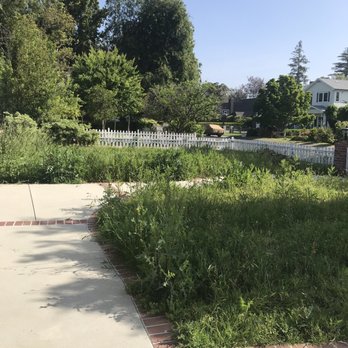 Earth Design - Before - Landscape Architects or Designers Near Me - Santa Monica, California