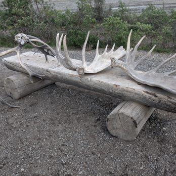 Denali Tundra Wilderness Bus Tour - Bus Tours Near Me - Denali, Alaska