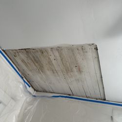 Hoosier Homes Construction - Removed the damage.