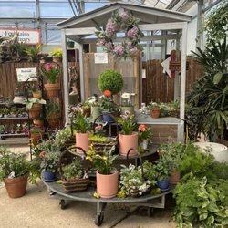 Louisiana Nursery