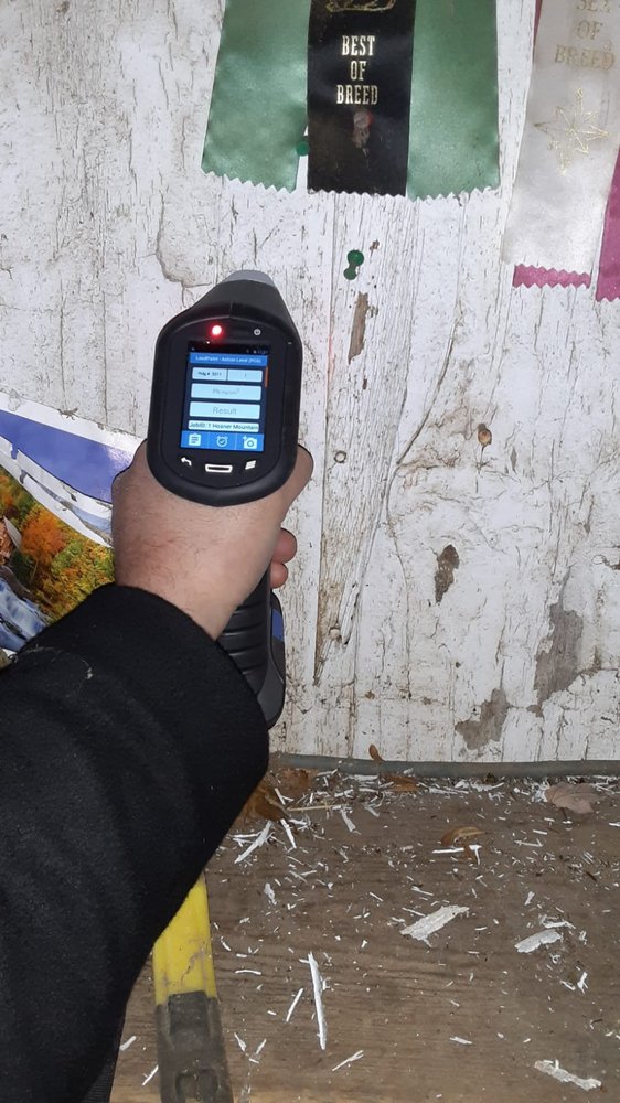 AAA Lead Professionals - mold inspector in New Rochelle, NY