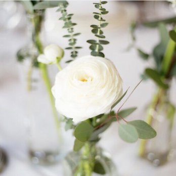Bear Creek Florist - Florists Near Me - Redmond, Washington Bear Creek Florist - Florists Near Me - Redmond, Washington