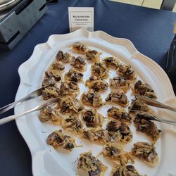Mushroom crostini